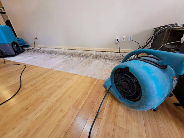 Professional Water Damage Repair technician working in Southgate, KY